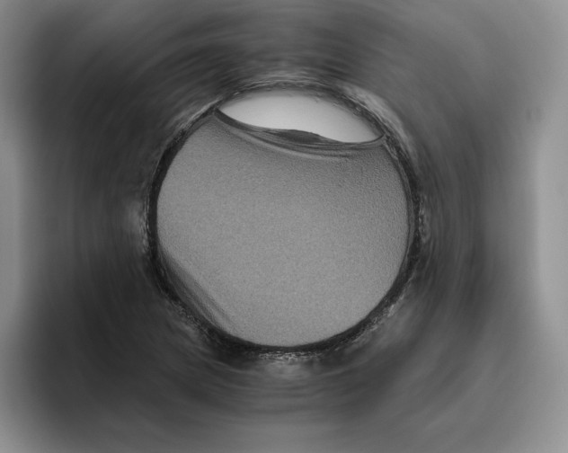 X0000096401217200802211156