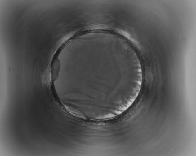 X0000096401221200802211156