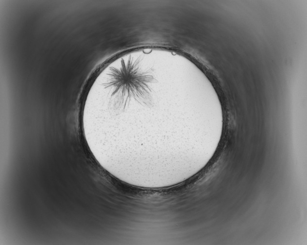 X0000096401222200802211156