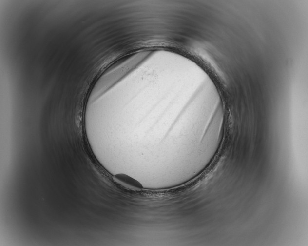 X0000096401225200802211156