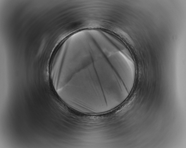 X0000096401226200802211156