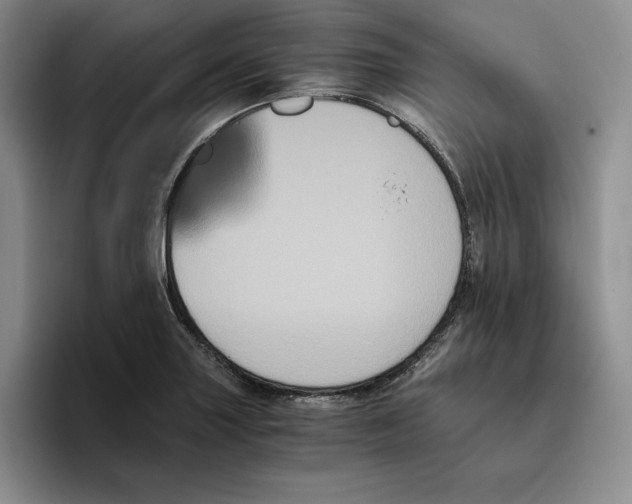 X0000096401227200802211156