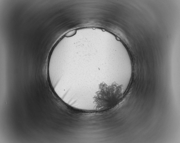X0000096401228200802211156