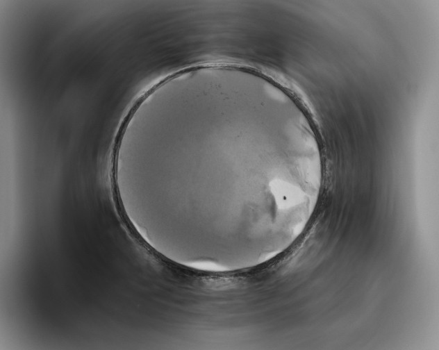 X0000096401231200802211156