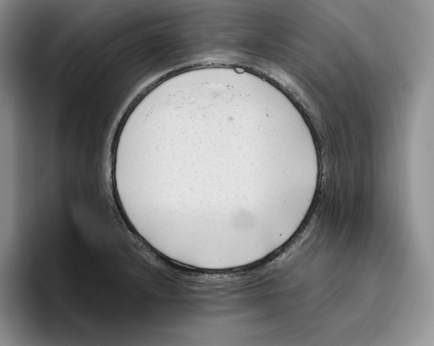 X0000096401232200802211156