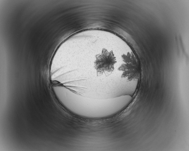 X0000096401234200802211156