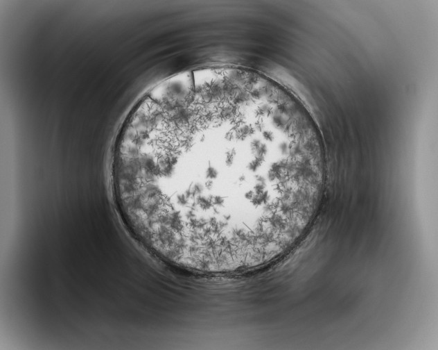 X0000096401235200802211156