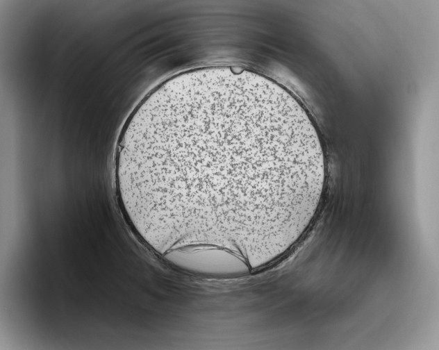 X0000096401236200802211156