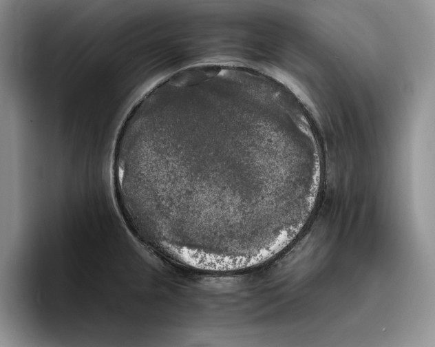 X0000096401237200802211156