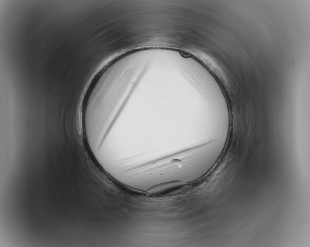 X0000096401238200802211156