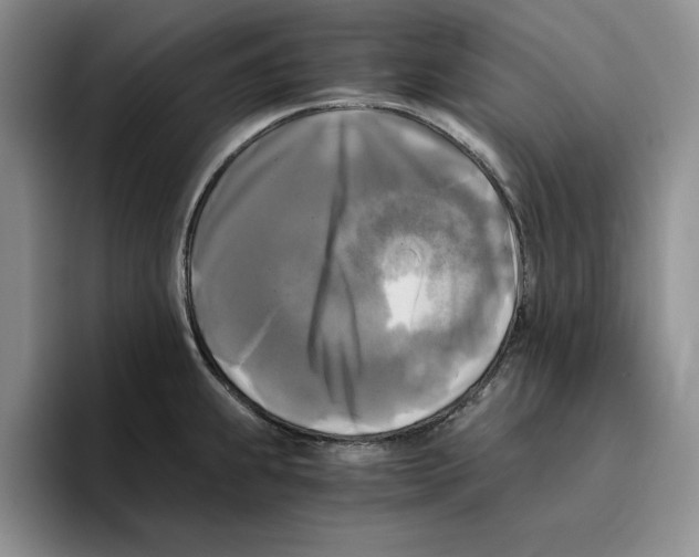 X0000096401239200802211156