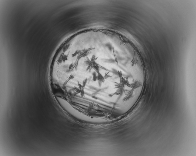 X0000096401240200802211156
