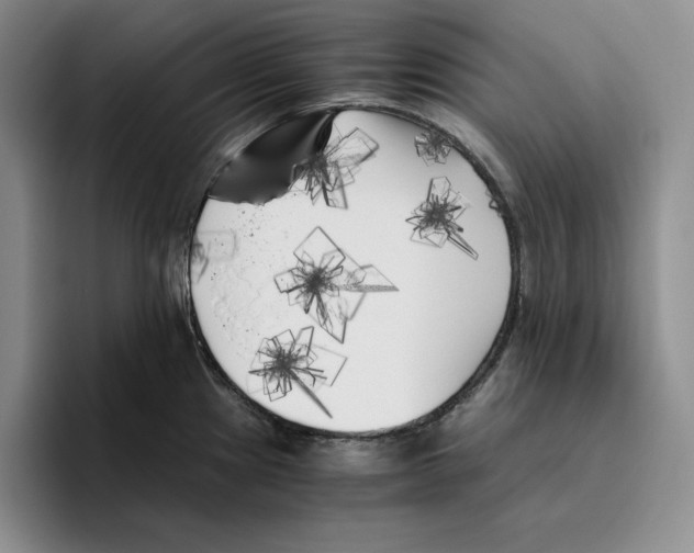 X0000096401241200802211156