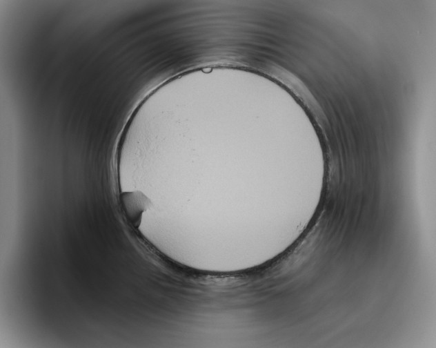 X0000096401242200802211156