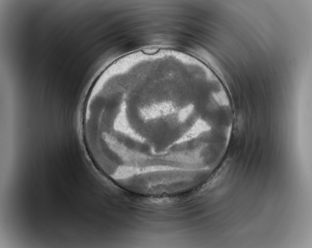 X0000096401243200802211156