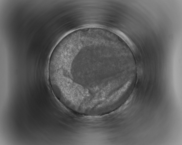 X0000096401244200802211156