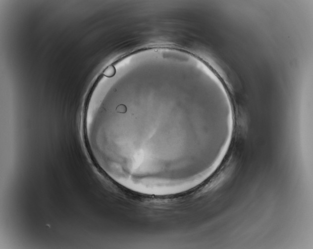 X0000096401245200802211157