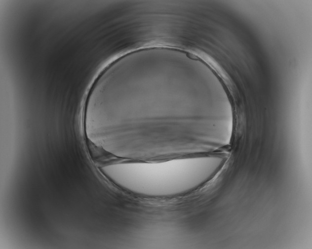 X0000096401246200802211157