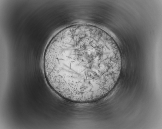 X0000096401247200802211157