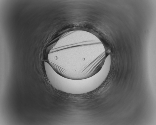 X0000096401249200802211156