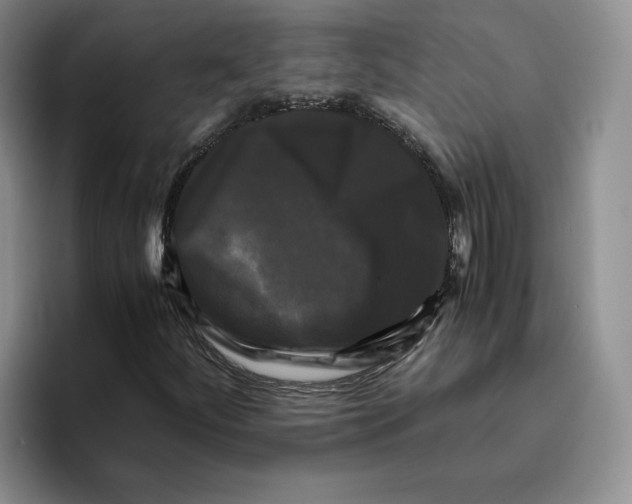 X0000096401252200802211156