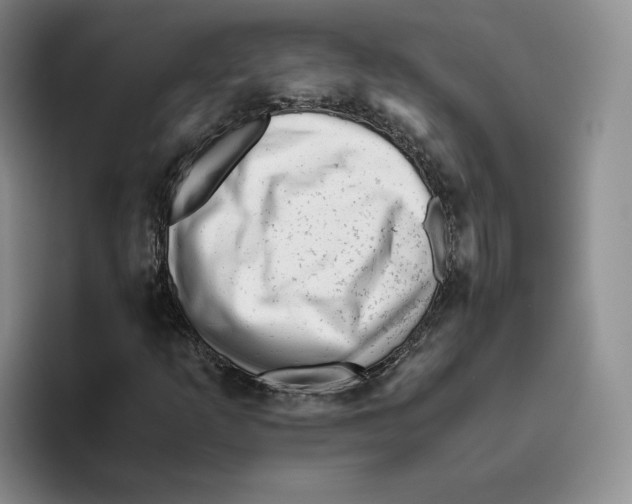 X0000096401253200802211156