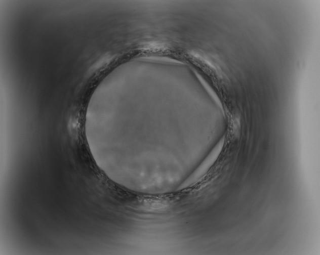 X0000096401254200802211156