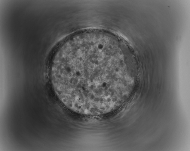 X0000096401255200802211156