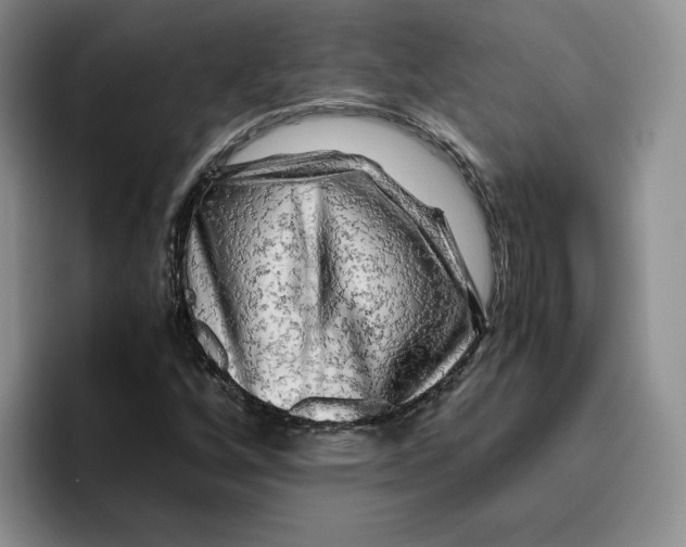 X0000096401256200802211156