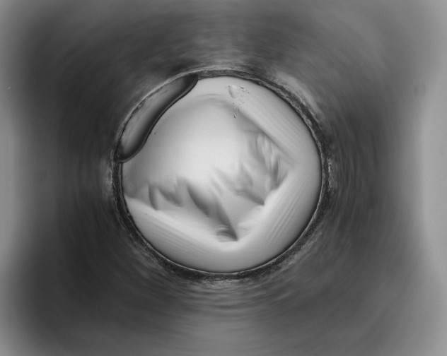 X0000096401260200802211156