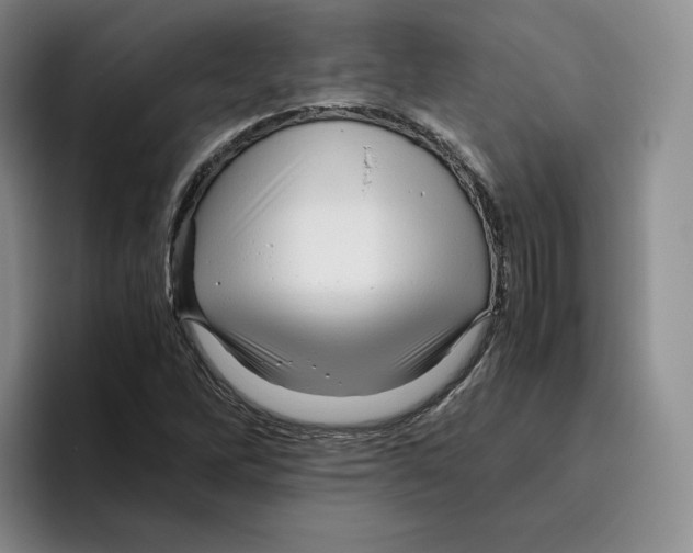 X0000096401262200802211156