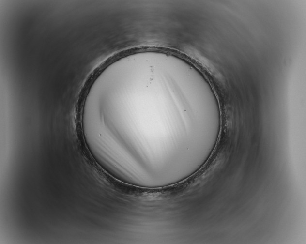 X0000096401264200802211156