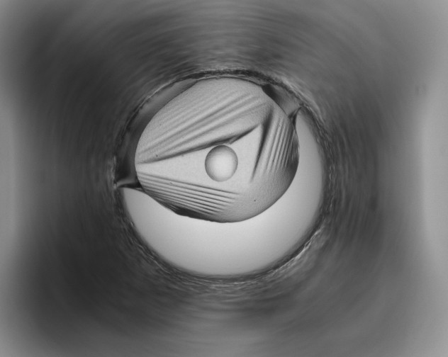 X0000096401265200802211156