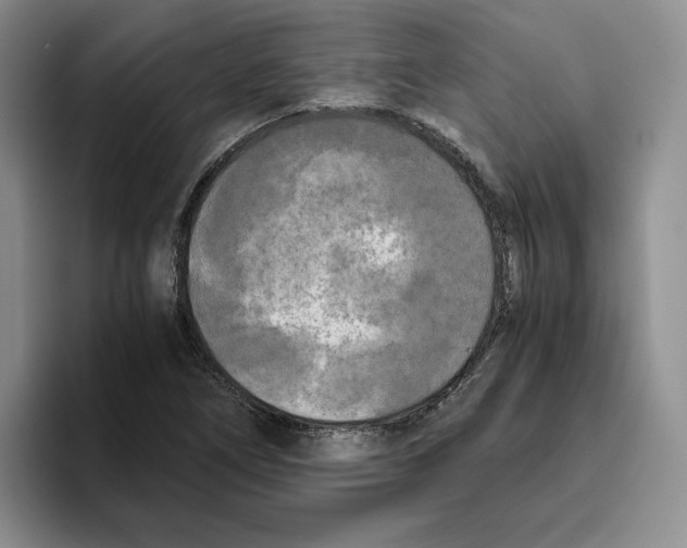 X0000096401266200802211156