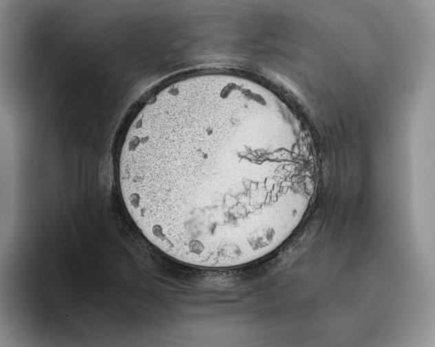 X0000096401267200802211156