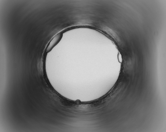 X0000096401268200802211156