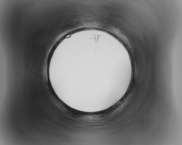 X0000096401272200802211156