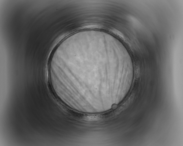 X0000096401274200802211156