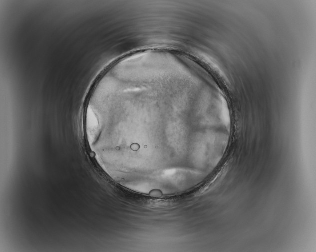 X0000096401275200802211156