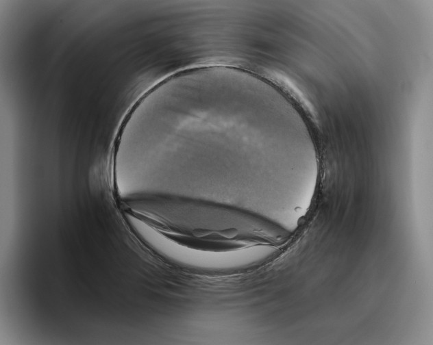 X0000096401276200802211155