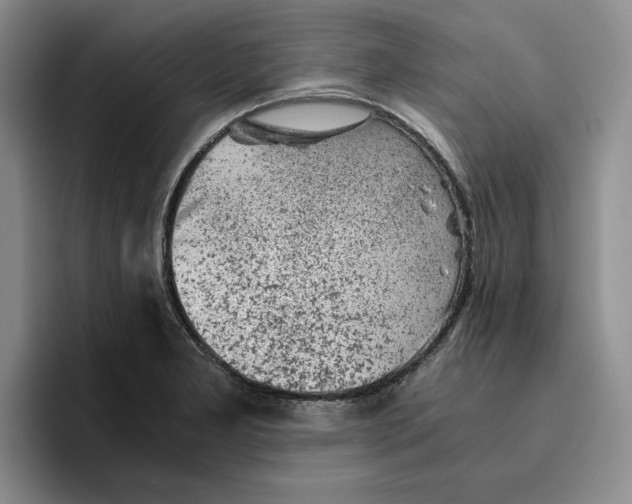 X0000096401277200802211155