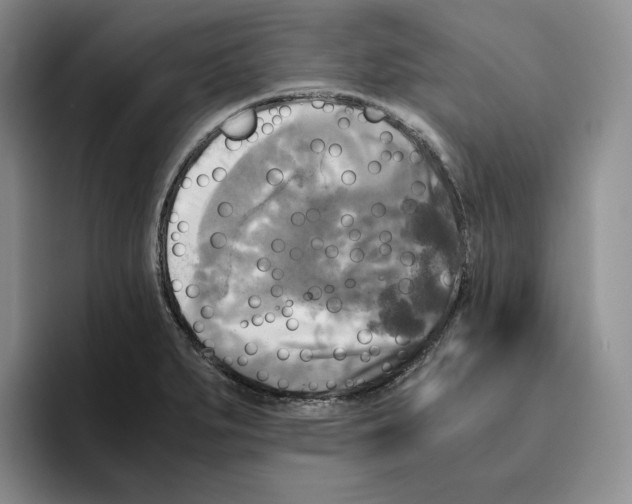 X0000096401279200802211155