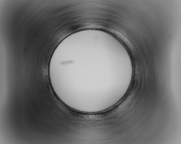 X0000096401281200802211155