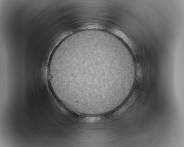 X0000096401282200802211155