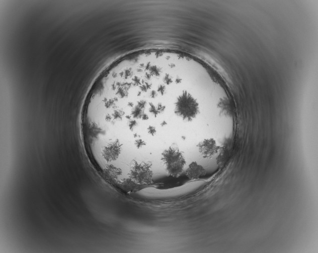 X0000096401283200802211155