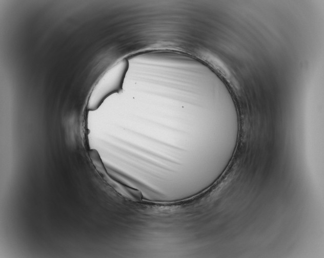 X0000096401284200802211155