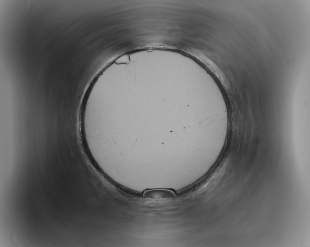 X0000096401285200802211155