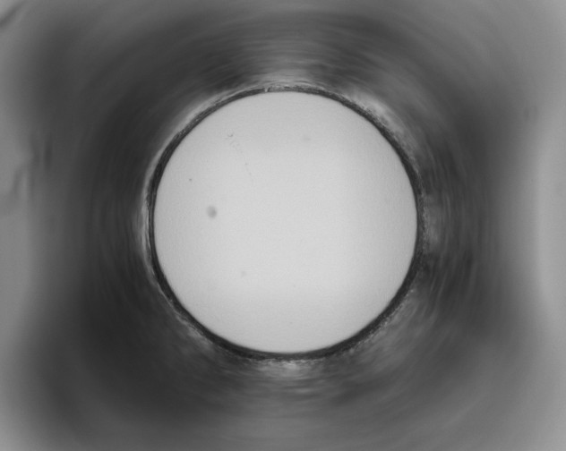 X0000096401286200802211155