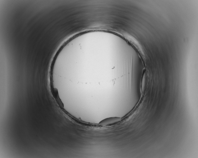 X0000096401288200802211155