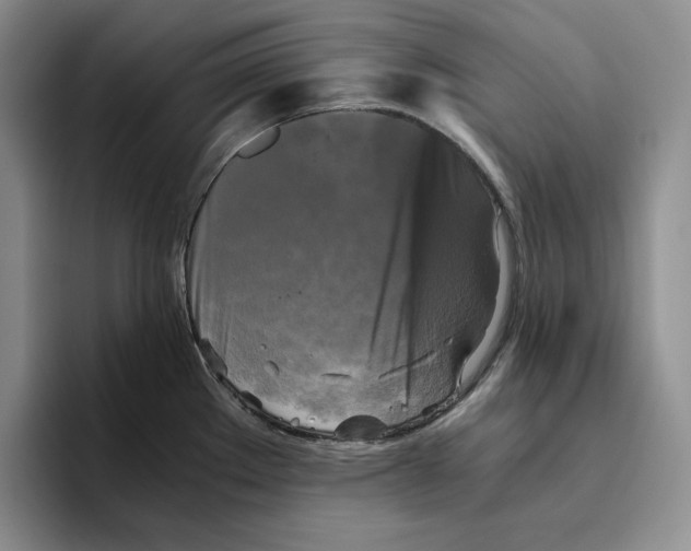 X0000096401289200802211155